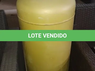 LOTE 145 - 01 BOTIJÃO DE GÁS VAZIO P45. (NO ESTADO EM QUE SE ENCONTRA. SUJEITO A AVARIAS OCULTAS/VISÍVEIS.)