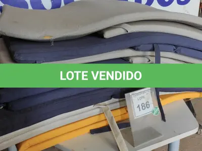 LOTE 186 - 01 LOTE COM ALMOFADAS PARA ESPREGUIÇADEIRAS DIVERSAS CORES. (NO ESTADO EM QUE SE ENCONTRA. SUJEITO A AVARIAS OCULTAS/VISÍVEIS.)