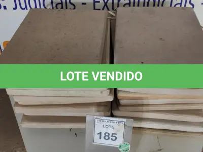LOTE 185 - 01 LOTE COM ALMOFADAS PARA CADEIRAS DE DIVERSAS CORES E TAMANHOS. (NO ESTADO EM QUE SE ENCONTRA. SUJEITO A AVARIAS OCULTAS/VISÍVEIS.)
