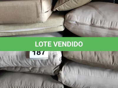 LOTE 187 - 01 LOTE COM ALMOFADAS DIVERSAS.  (NO ESTADO EM QUE SE ENCONTRA. SUJEITO A AVARIAS OCULTAS/VISÍVEIS.)