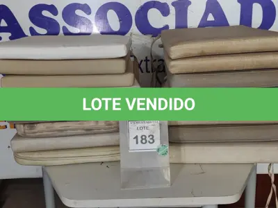 LOTE 183 - 01 LOTE COM ALMOFADAS PARA CADEIRAS DE DIVERSAS CORES E TAMANHOS. (NO ESTADO EM QUE SE ENCONTRA. SUJEITO A AVARIAS OCULTAS/VISÍVEIS.)