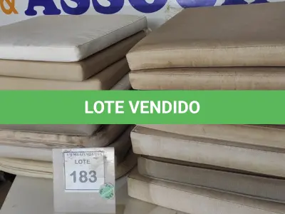 LOTE 183 - 01 LOTE COM ALMOFADAS PARA CADEIRAS DE DIVERSAS CORES E TAMANHOS. (NO ESTADO EM QUE SE ENCONTRA. SUJEITO A AVARIAS OCULTAS/VISÍVEIS.)