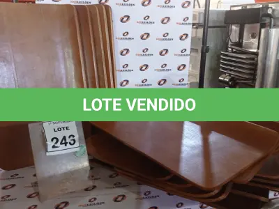 LOTE 243 - 20 PLACAS DE MADEIRA . (NO ESTADO) ATENÇÃO! FAZER A VISITAÇÃO ANTES DE ARREMATAR, NÃO SABEMOS SE FUNCIONA, LEILÃO NÃO TEM GARANTIA E NEM DEVOLUÇÃO, SUJEITO A POSSÍVEIS AVARIAS VISÍVEIS/OCULTAS E/OU AUSÊNCIA DE COMPONENTES.