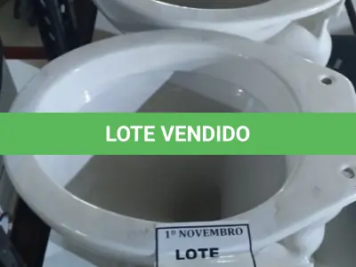 LOTE 408 - 02 VASOS SANITÁRIOS. (NO ESTADO) ATENÇÃO! FAZER A VISITAÇÃO ANTES DE ARREMATAR, NÃO SABEMOS SE FUNCIONA, LEILÃO NÃO TEM GARANTIA E NEM DEVOLUÇÃO, SUJEITO A POSSÍVEIS AVARIAS VISÍVEIS/OCULTAS E/OU AUSÊNCIA DE COMPONENTES.