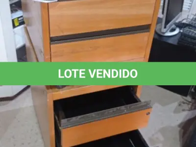 LOTE 473 - 02 GAVETEIROS COM RODINHAS DE 03 GAVETAS CADA. (NO ESTADO) ATENÇÃO! FAZER A VISITAÇÃO ANTES DE ARREMATAR, NÃO SABEMOS SE FUNCIONA, LEILÃO NÃO TEM GARANTIA E NEM DEVOLUÇÃO, SUJEITO A POSSÍVEIS AVARIAS VISÍVEIS/OCULTAS E/OU AUSÊNCIA DE COMPONENTES.