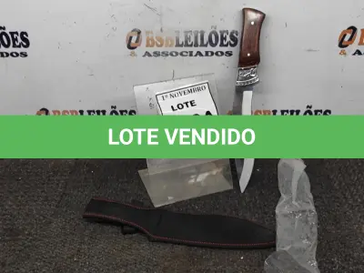 LOTE 100 - 01 FACA IMPORTADA AÇO INOXIDÁVEL CABO EM MADEIRA COM DETALHE DE ESCORPIÃO NA GUARDA  FULL TANG BAINHA DE NYLON TAMANHO TOTAL 32CM PESO 390G JÁ AFIADA  . (NO ESTADO) ATENÇÃO! FAZER A VISITAÇÃO ANTES DE ARREMATAR, NÃO SABEMOS SE FUNCIONA, LEILÃO NÃO TEM GARANTIA E NEM DEVOLUÇÃO, SUJEITO A POSSÍVEIS AVARIAS VISÍVEIS/OCULTAS E/OU AUSÊNCIA DE COMPONENTES.