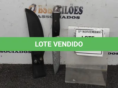 LOTE 060 - 01 FACA IMPORTADA AÇO INOXIDÁVEL CABO EM MADEIRA POMO COM UMA ÁGUIA FULL TANG BAINHA DE NYLON TAMANHO TOTAL 28CM PESO 288G JÁ AFIADA  