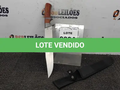 LOTE 030 - 01 FACA IMPORTADA AÇO INOXIDÁVEL CABO EM MADEIRA FULL TANG BAINHA DE NYLON TAMANHO TOTAL 38CM PESO 416G JÁ AFIADA  