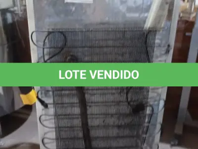 LOTE 327 - 01 FREEZER VERTICAL MARCA ELECTROLUX. (NO ESTADO) ATENÇÃO! FAZER A VISITAÇÃO ANTES DE ARREMATAR, NÃO SABEMOS SE FUNCIONA, LEILÃO NÃO TEM GARANTIA E NEM DEVOLUÇÃO, SUJEITO A POSSÍVEIS AVARIAS VISÍVEIS/OCULTAS E/OU AUSÊNCIA DE COMPONENTES.