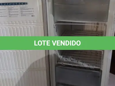 LOTE 327 - 01 FREEZER VERTICAL MARCA ELECTROLUX. (NO ESTADO) ATENÇÃO! FAZER A VISITAÇÃO ANTES DE ARREMATAR, NÃO SABEMOS SE FUNCIONA, LEILÃO NÃO TEM GARANTIA E NEM DEVOLUÇÃO, SUJEITO A POSSÍVEIS AVARIAS VISÍVEIS/OCULTAS E/OU AUSÊNCIA DE COMPONENTES.