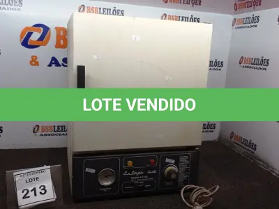 LOTE 213 - 01 ESTUFA CONVECÇÃO GRAVIDADE MODELO 311 CG. (NO ESTADO) ATENÇÃO! FAZER A VISITAÇÃO ANTES DE ARREMATAR, NÃO SABEMOS SE FUNCIONA, LEILÃO NÃO TEM GARANTIA E NEM DEVOLUÇÃO, SUJEITO A POSSÍVEIS AVARIAS VISÍVEIS/OCULTAS E/OU AUSÊNCIA DE COMPONENTES.