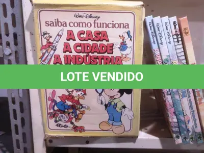 LOTE 495 - 01 COLEÇÃO SAIBA COMO FUNCIONA DA DISNEY. (NO ESTADO) ATENÇÃO! FAZER A VISITAÇÃO ANTES DE ARREMATAR, NÃO SABEMOS SE FUNCIONA, LEILÃO NÃO TEM GARANTIA E NEM DEVOLUÇÃO, SUJEITO A POSSÍVEIS AVARIAS VISÍVEIS/OCULTAS E/OU AUSÊNCIA DE COMPONENTES.