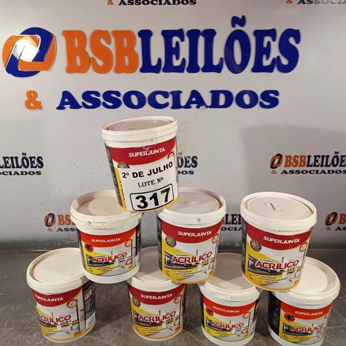 LOTE 317