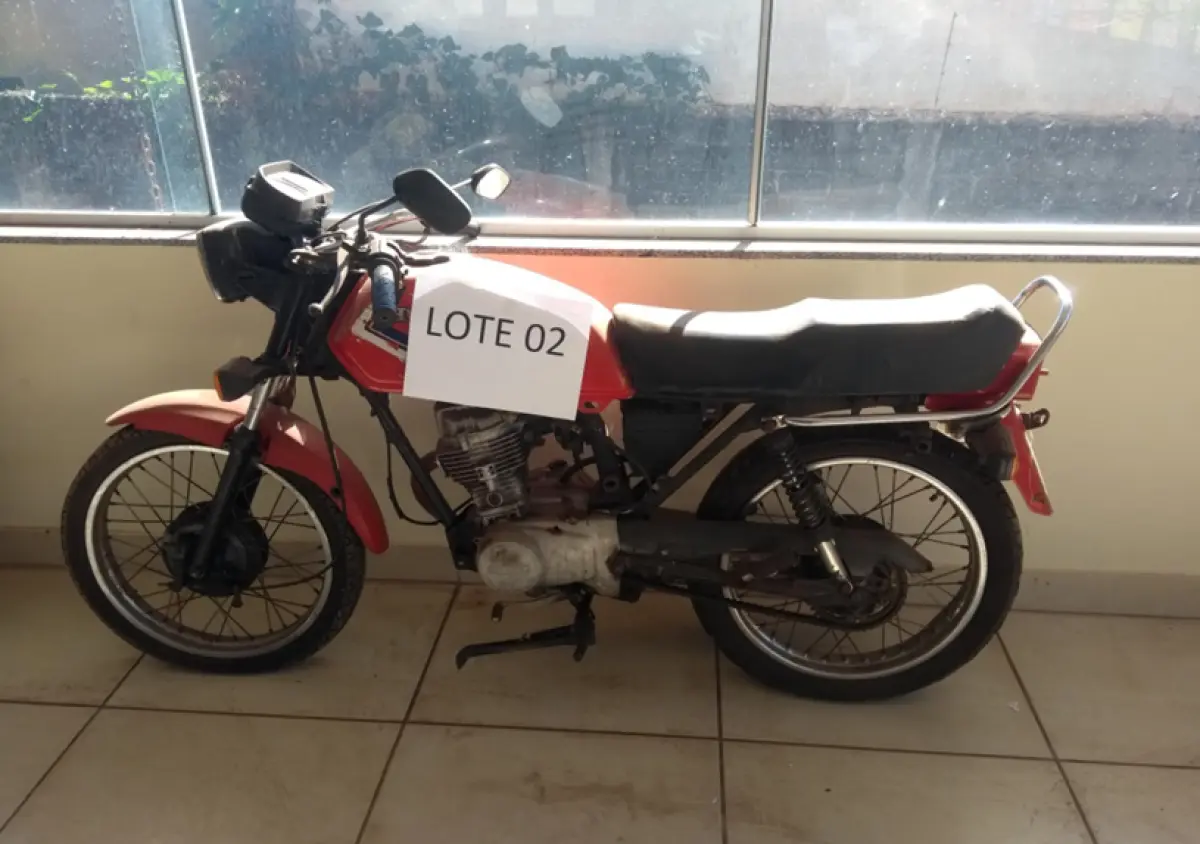 LOTE 704