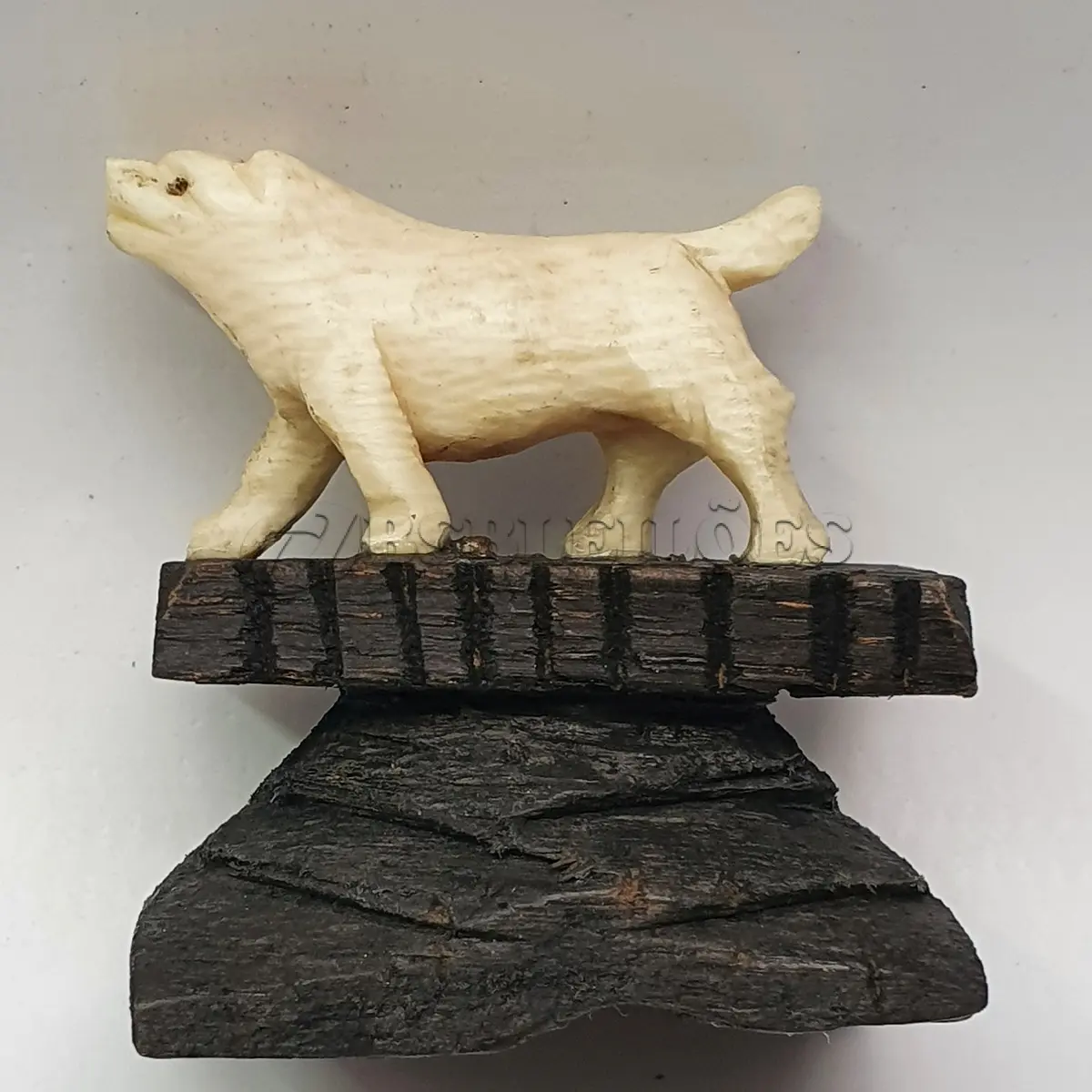 LOTE 055 - MINI ESCULTURA  EM MARFIM REPRESENTANDO TIGRE33 MM  X 38 MM  X 23 MM  (NO ESTADO)