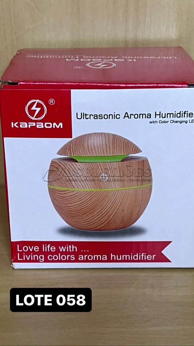 LOTE 058 - 01 UMIDIFICADOR E AROMATIZADOR(NO ESTADO)