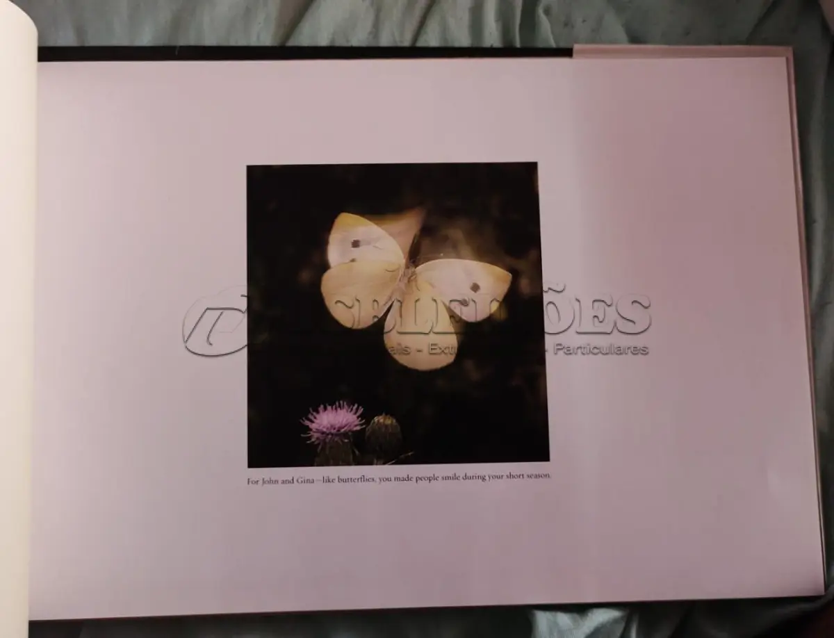 LOTE 614 - RARO LIVRO FLYING FLOWERS RICK SAMMON (NO ESTADO)