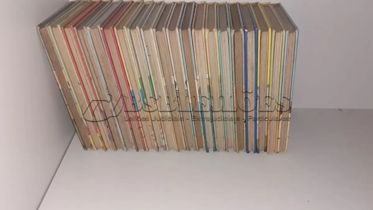 LOTE 595 - BIBLIOTECA DO ESCOTEIRO MIRIM - WALT DISNEY - 20 VOLUMES (NO ESTADO)