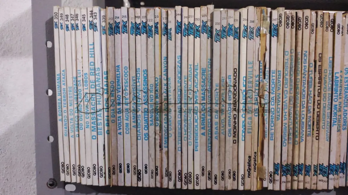 LOTE 584 - LOTE GIBIS ANTIGOS TEX EDITORA GLOBO COM 150 GIBIS (NO ESTADO)