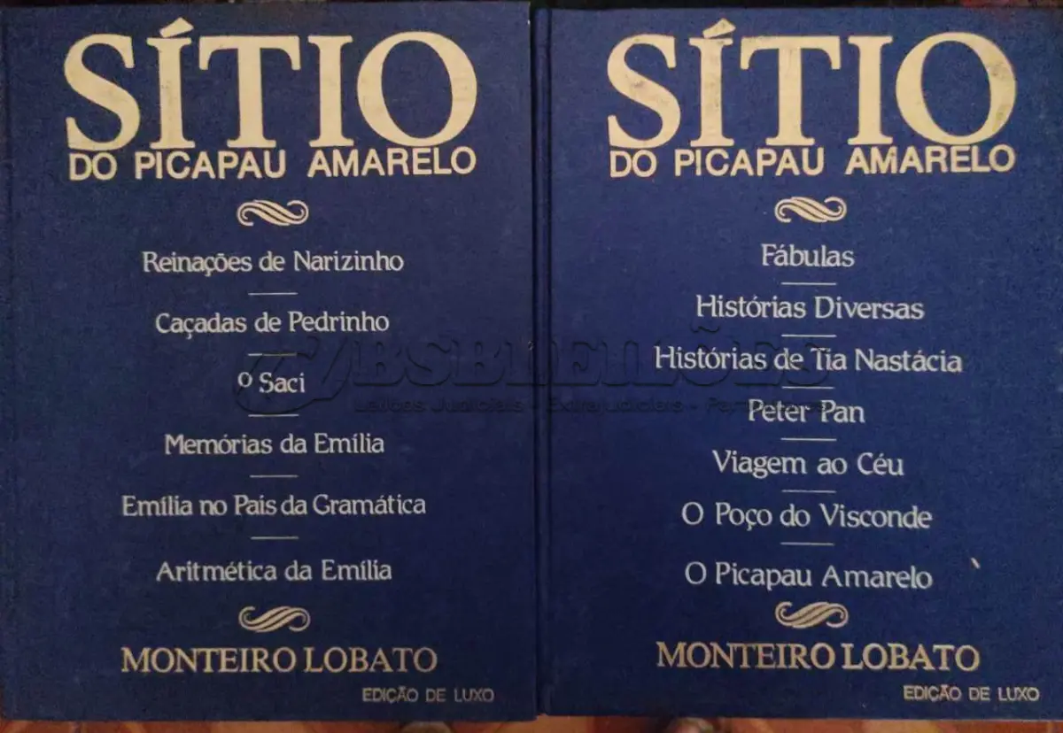 LOTE 589
