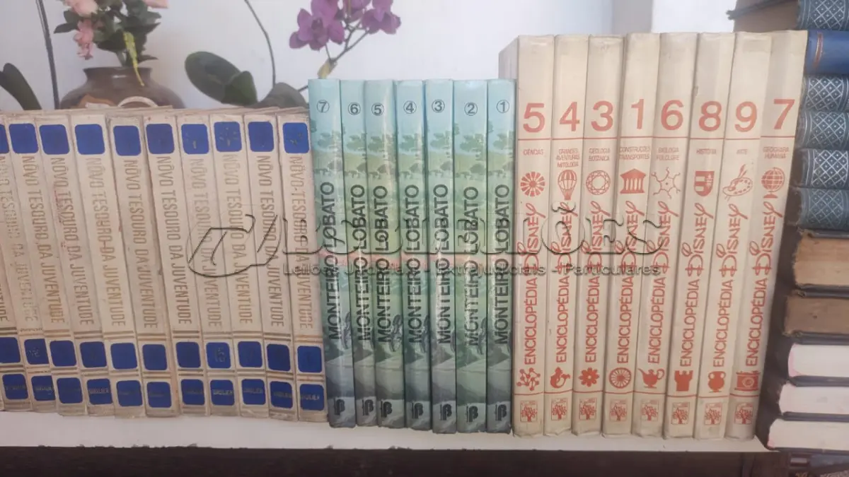 LOTE 636 - LOTE COM LIVROS INFANTIS (NO ESTADO)