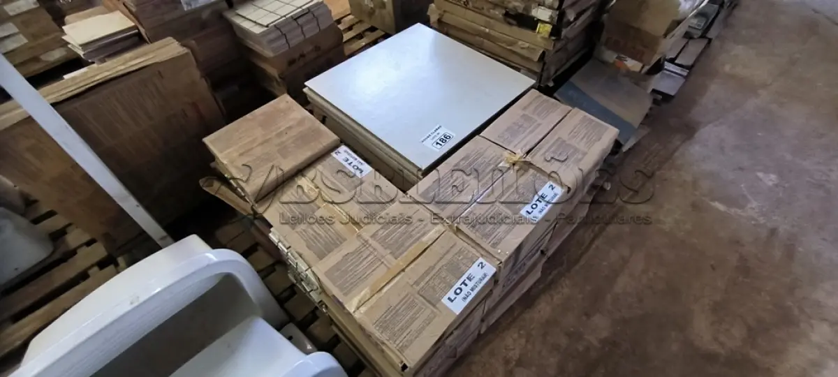 LOTE 186 - 16 CAIXAS DE PASTILHA BRANCA E PISOS 60CM X 60CM DIVERSOS (NO ESTADO)