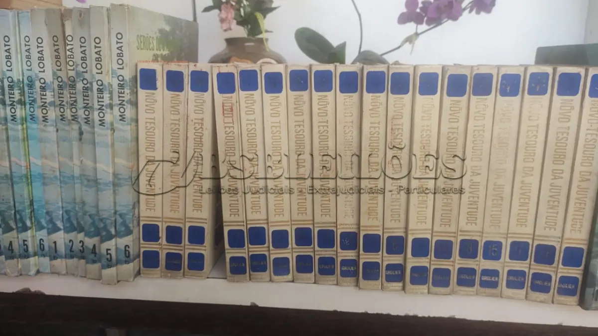 LOTE 636 - LOTE COM LIVROS INFANTIS (NO ESTADO)
