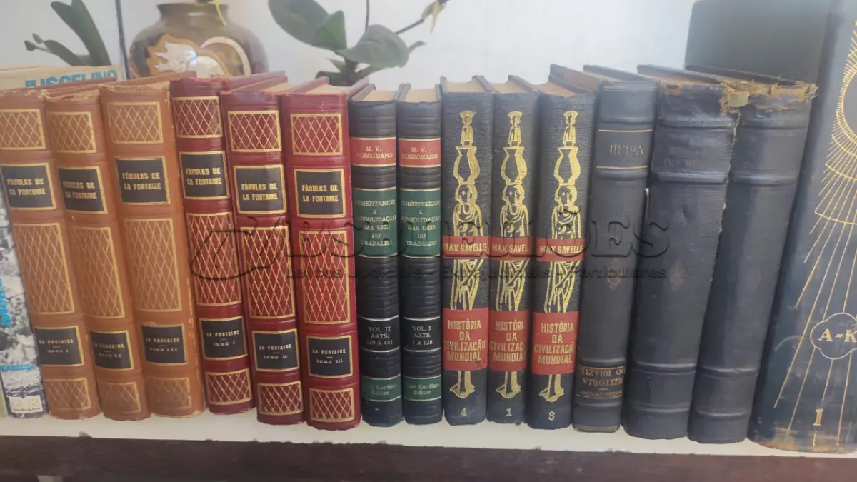 LOTE 638 - LOTE COM LIVROS RAROS (NO ESTADO)