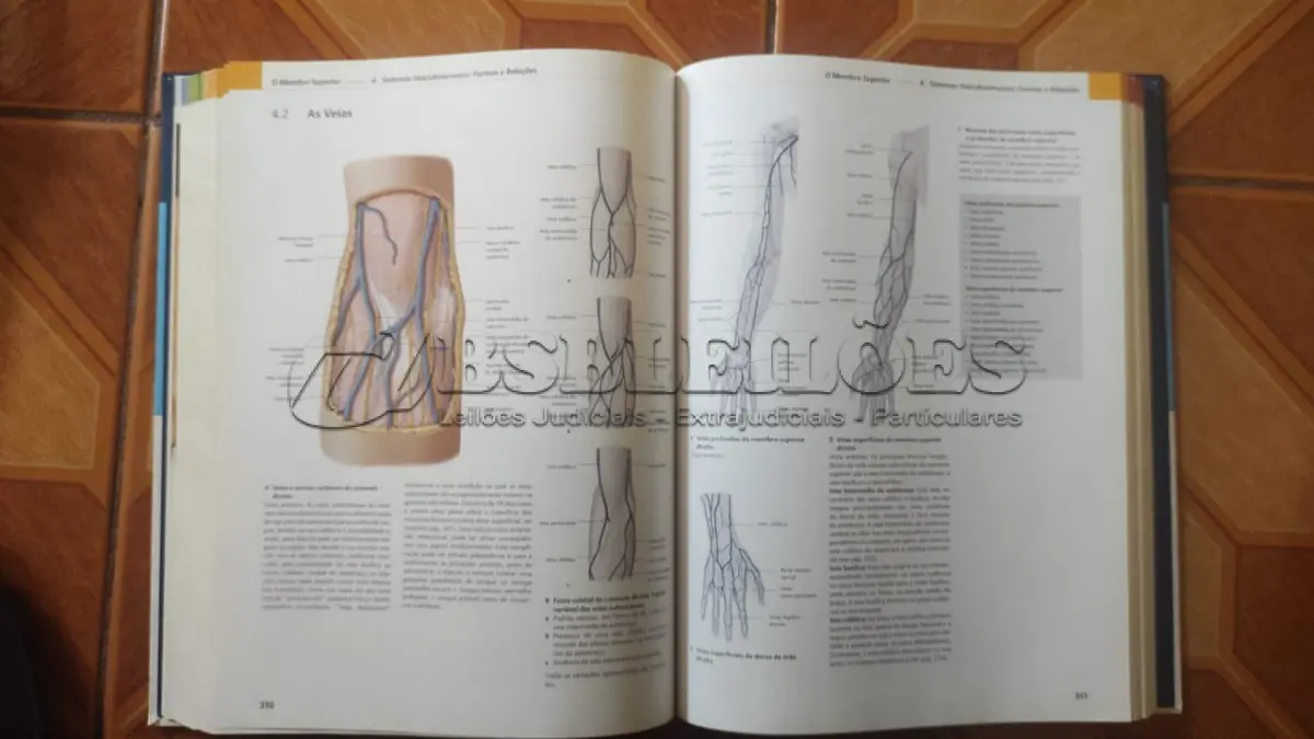 LOTE 698 - LIVRO PROMETHEUS, ATLAS DE ANATOMIA CAPA DURA . (NO ESTADO)