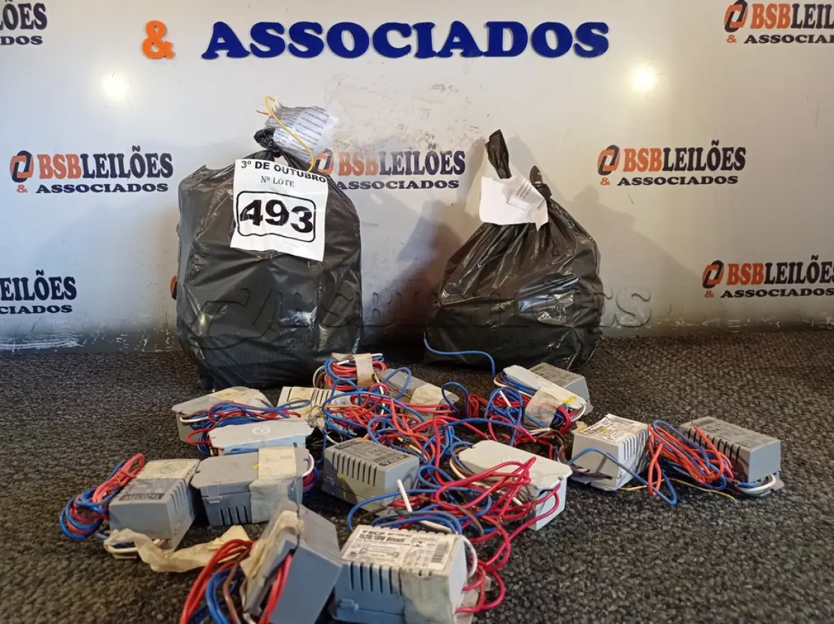 LOTE 493 - 01 LOTE COM VÁRIOS REATORES PARA LÂMPADAS FLUORESCENTE MARCAS E MODELOS DIVERSOS. (NO ESTADO) ATENÇÃO! FAZER A VISITAÇÃO ANTES DE ARREMATAR, NÃO SABEMOS SE FUNCIONA. LEILÃO NÃO TEM GARANTIA E NEM DEVOLUÇÃO, SUJEITO A POSSÍVEIS AVARIAS VISÍVEIS/OCULTAS E/OU AUSÊNCIA DE COMPONENTES.