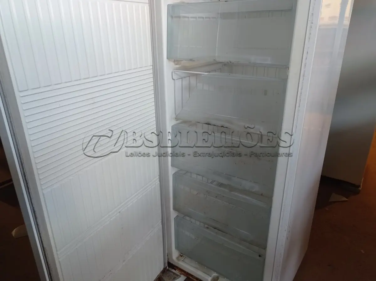LOTE 338 - 01 FREEZER VERTICAL MARCA BRASTEMP 220V. (NO ESTADO) ATENÇÃO! FAZER A VISITAÇÃO ANTES DE ARREMATAR, NÃO SABEMOS SE FUNCIONA. LEILÃO NÃO TEM GARANTIA E NEM DEVOLUÇÃO, SUJEITO A POSSÍVEIS AVARIAS VISÍVEIS/OCULTAS E/OU AUSÊNCIA DE COMPONENTES.