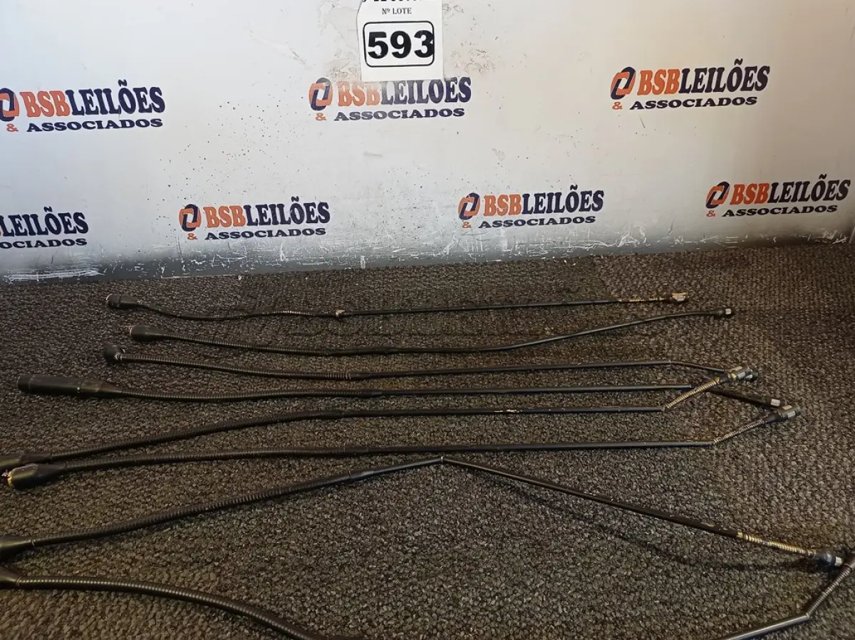 LOTE 593 - 01 LOTE COM VÁRIOS MICROFONES. (NO ESTADO) ATENÇÃO! FAZER A VISITAÇÃO ANTES DE ARREMATAR, NÃO SABEMOS SE FUNCIONA. LEILÃO NÃO TEM GARANTIA E NEM DEVOLUÇÃO, SUJEITO A POSSÍVEIS AVARIAS VISÍVEIS/OCULTAS E/OU AUSÊNCIA DE COMPONENTES.