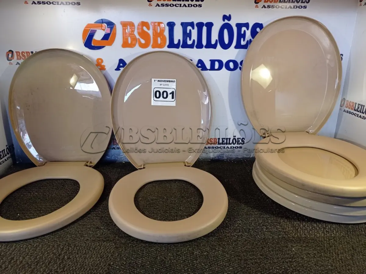 LOTE 001 - 06 ASSENTOS PARA VASO SANITÁRIO MARCAS E MODELOS DIVERSOS. (NO ESTADO) ATENÇÃO! FAZER A VISITAÇÃO ANTES DE ARREMATAR, NÃO SABEMOS SE FUNCIONA. LEILÃO NÃO TEM GARANTIA E NEM DEVOLUÇÃO, SUJEITO A POSSÍVEIS AVARIAS VISÍVEIS/OCULTAS E/OU AUSÊNCIA DE COMPONENTES.
