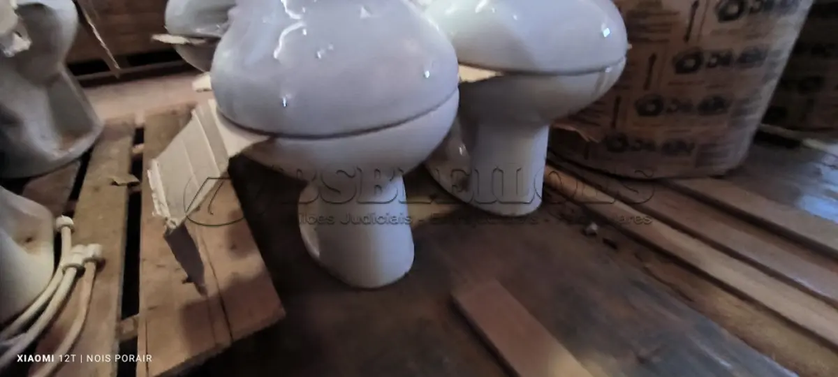 LOTE 058 - 01 LOTE COM 04 VASOS SANITÁRIOS (NO ESTADO, NÃO SABEMOS SE FUNCIONA. LEILÃO NÃO TEM GARANTIA E NEM DEVOLUÇÃO).