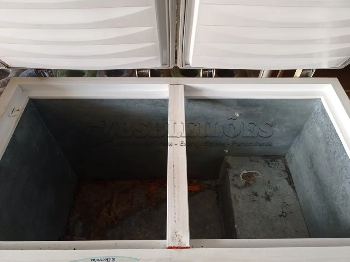 LOTE 483 - 01 FREEZER HORIZONTAL 02 TAMPA MARCA ELECTROLUX 220V. (NO ESTADO) ATENÇÃO! FAZER A VISITAÇÃO ANTES DE ARREMATAR, NÃO SABEMOS SE FUNCIONA. LEILÃO NÃO TEM GARANTIA E NEM DEVOLUÇÃO, SUJEITO A POSSÍVEIS AVARIAS VISÍVEIS/OCULTAS E/OU AUSÊNCIA DE COMPONENTES.