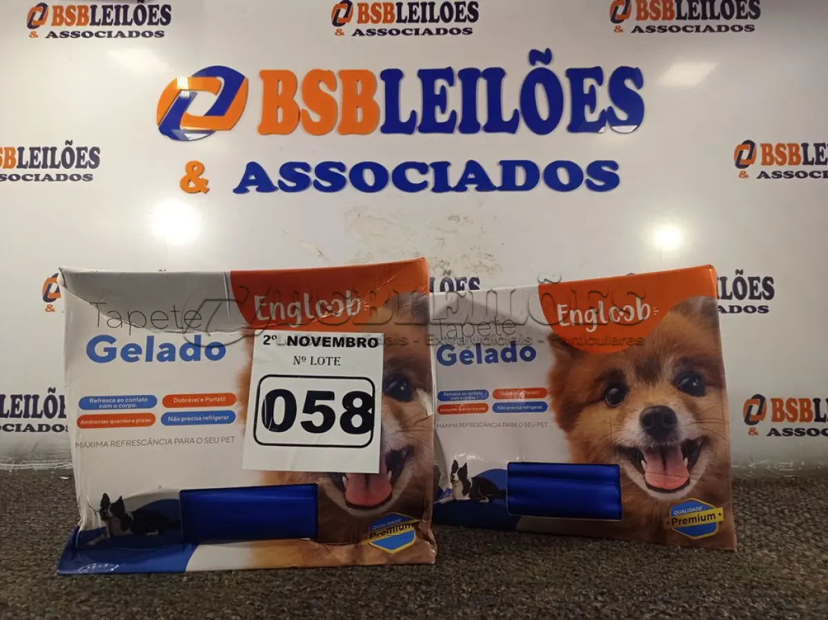 LOTE 058 - 02 TAPETES GELADOS. (NO ESTADO) ATENÇÃO! FAZER A VISITAÇÃO ANTES DE ARREMATAR, NÃO SABEMOS SE FUNCIONA. LEILÃO NÃO TEM GARANTIA E NEM DEVOLUÇÃO, SUJEITO A POSSÍVEIS AVARIAS VISÍVEIS/OCULTAS E/OU AUSÊNCIA DE COMPONENTES.
