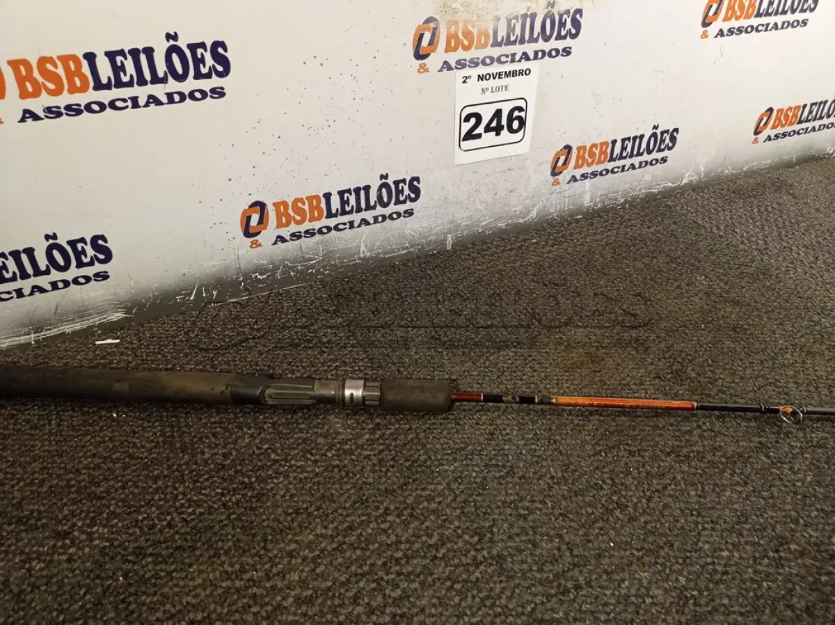 LOTE 246 - 01 VARA DE PESCA EM FIBRA DE VIDRO. (NO ESTADO) ATENÇÃO! FAZER A VISITAÇÃO ANTES DE ARREMATAR, NÃO SABEMOS SE FUNCIONA. LEILÃO NÃO TEM GARANTIA E NEM DEVOLUÇÃO, SUJEITO A POSSÍVEIS AVARIAS VISÍVEIS/OCULTAS E/OU AUSÊNCIA DE COMPONENTES.