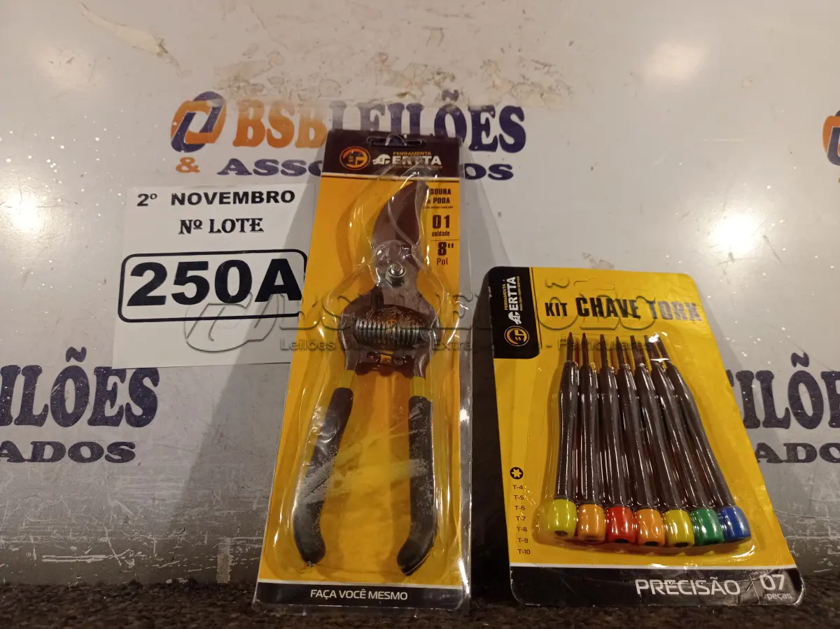 LOTE 250 - 01 ALICATE DE PODA E 01 KIT DE CHAVES TORX. (NO ESTADO) ATENÇÃO! FAZER A VISITAÇÃO ANTES DE ARREMATAR, NÃO SABEMOS SE FUNCIONA. LEILÃO NÃO TEM GARANTIA E NEM DEVOLUÇÃO, SUJEITO A POSSÍVEIS AVARIAS VISÍVEIS/OCULTAS E/OU AUSÊNCIA DE COMPONENTES.