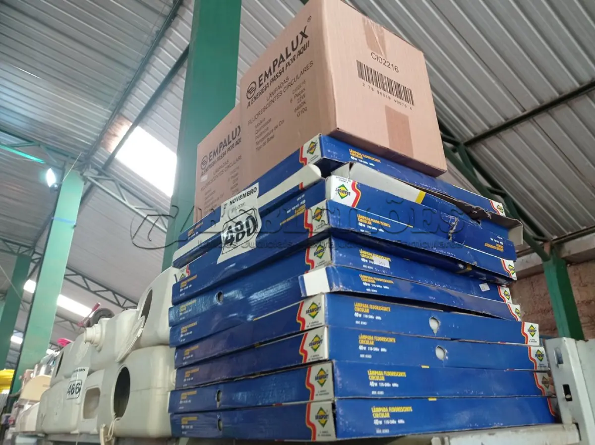 LOTE 480 - 01 LOTE COM VÁRIAS LÂMPADAS FLUORESCENTE CIRCULARES. (NO ESTADO) ATENÇÃO! FAZER A VISITAÇÃO ANTES DE ARREMATAR, NÃO SABEMOS SE FUNCIONA. LEILÃO NÃO TEM GARANTIA E NEM DEVOLUÇÃO, SUJEITO A POSSÍVEIS AVARIAS VISÍVEIS/OCULTAS E/OU AUSÊNCIA DE COMPONENTES.