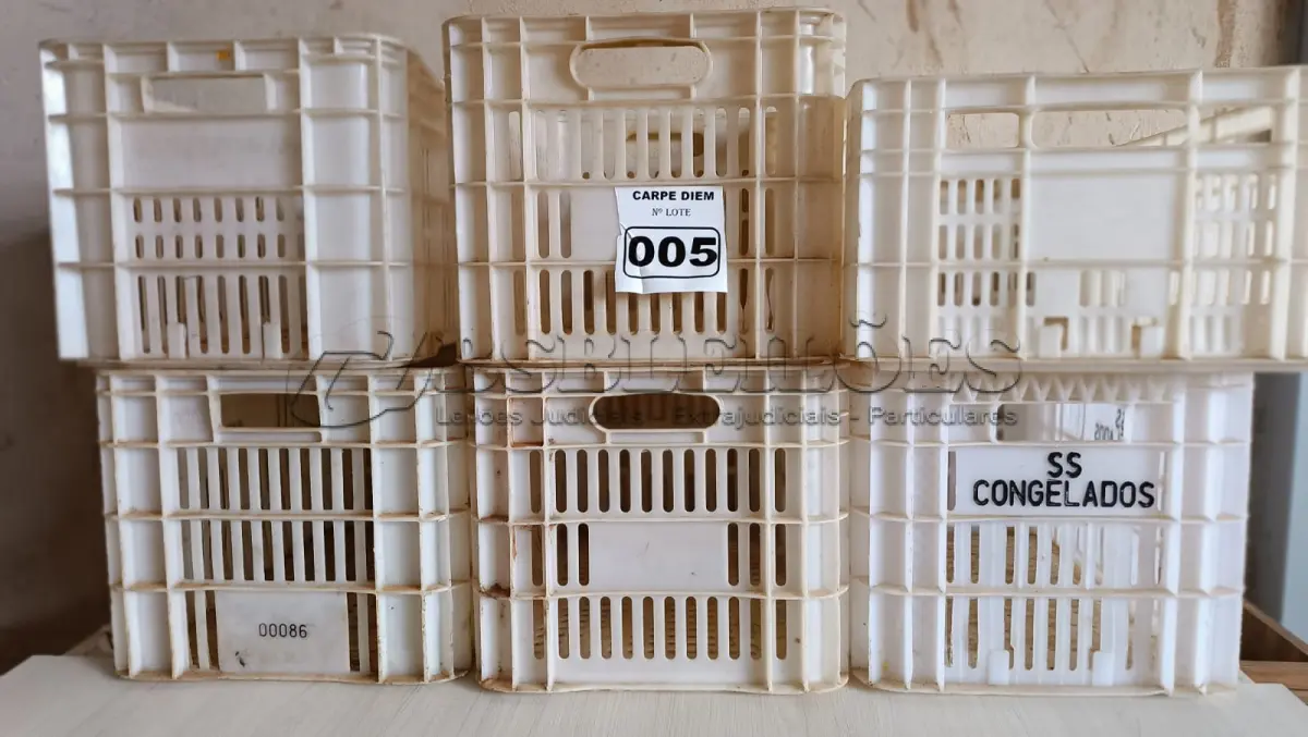 LOTE 005 - CAIXAS PLÁSTICAS DIVERSOS TAMANHOS. (NO ESTADO DE CONSERVAÇÃO QUE SE ENCONTRA. LEILÃO NÃO TEM GARANTIA E NEM DEVOLUÇÃO).