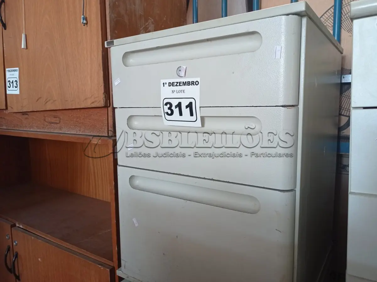 LOTE 311 - 02 GAVETEIROS COM 03 GAVETAS. (NO ESTADO) ATENÇÃO! FAZER A VISITAÇÃO ANTES DE ARREMATAR, NÃO SABEMOS SE FUNCIONA. LEILÃO NÃO TEM GARANTIA E NEM DEVOLUÇÃO, SUJEITO A POSSÍVEIS AVARIAS VISÍVEIS/OCULTAS E/OU AUSÊNCIA DE COMPONENTES.