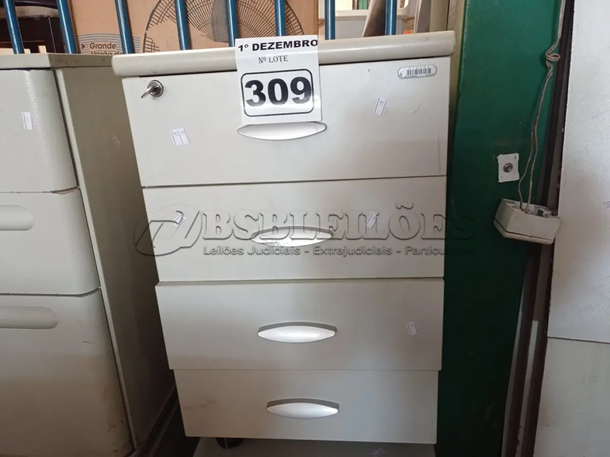 LOTE 309 - 02 GAVETEIROS COM 03 GAVETAS. (NO ESTADO) ATENÇÃO! FAZER A VISITAÇÃO ANTES DE ARREMATAR, NÃO SABEMOS SE FUNCIONA. LEILÃO NÃO TEM GARANTIA E NEM DEVOLUÇÃO, SUJEITO A POSSÍVEIS AVARIAS VISÍVEIS/OCULTAS E/OU AUSÊNCIA DE COMPONENTES.
