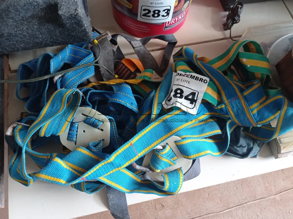 LOTE 284 - 05 CINTOS DE SEGURANÇA NO TRABALHO. (NO ESTADO) ATENÇÃO! FAZER A VISITAÇÃO ANTES DE ARREMATAR, NÃO SABEMOS SE FUNCIONA. LEILÃO NÃO TEM GARANTIA E NEM DEVOLUÇÃO, SUJEITO A POSSÍVEIS AVARIAS VISÍVEIS/OCULTAS E/OU AUSÊNCIA DE COMPONENTES.