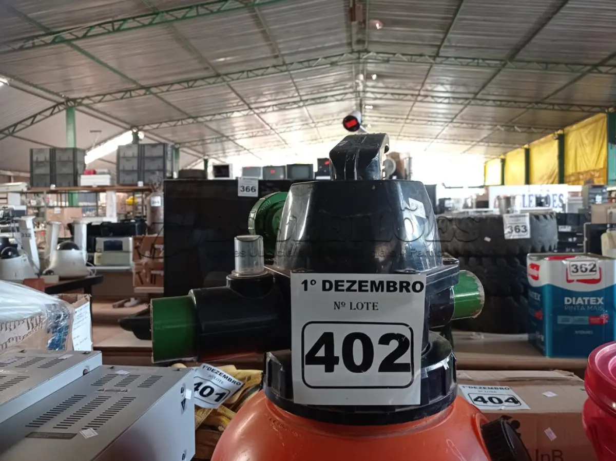 LOTE 402