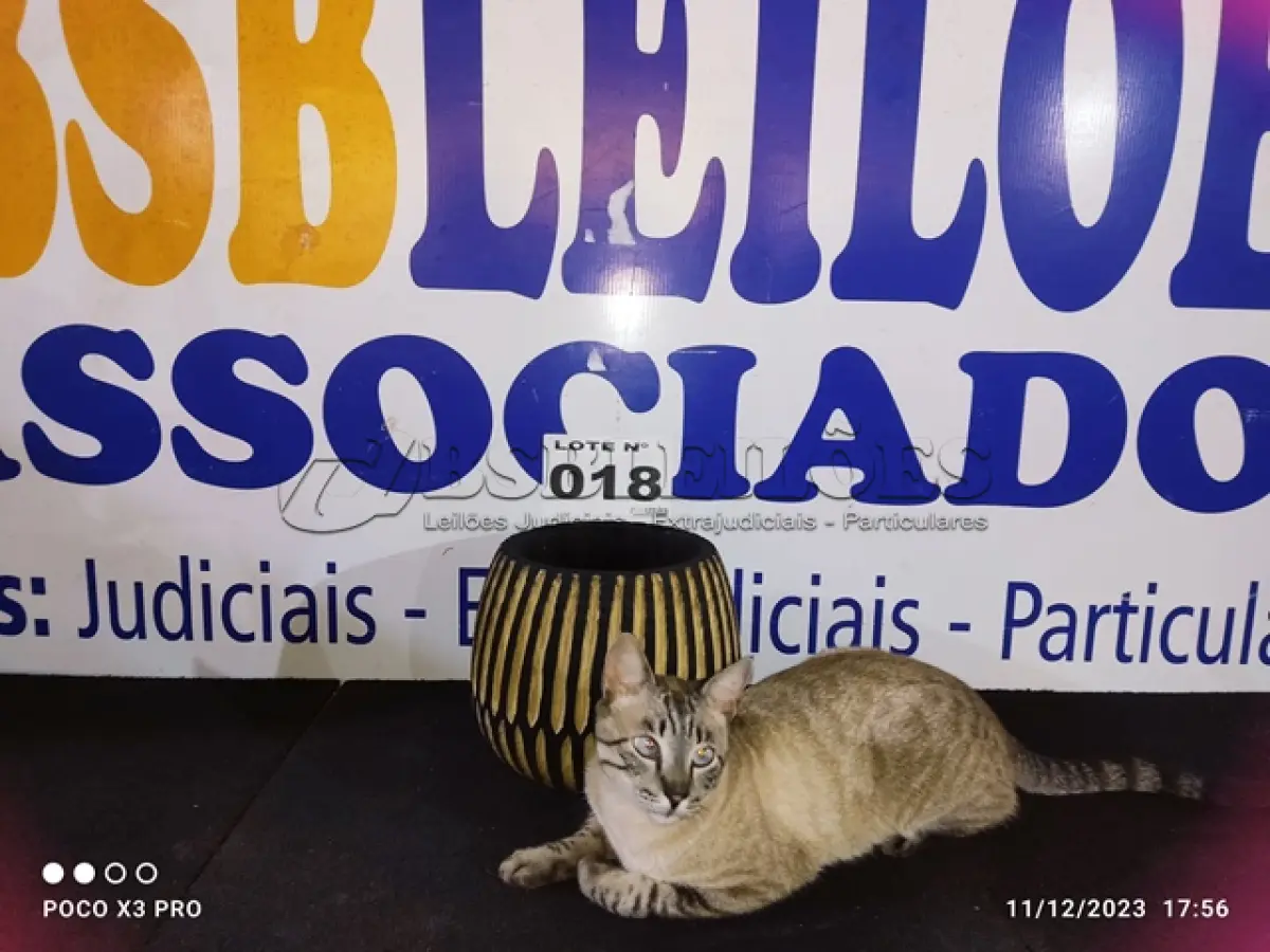 LOTE 018 - 01 - VASO DE MADEIRA TRABALHADA (NO ESTADO, NÃO SABEMOS SE FUNCIONA. LEILÃO NÃO TEM GARANTIA E NEM DEVOLUÇÃO, SUJEITO A POSSÍVEIS AVARIAS VISÍVEIS/OCULTAS E/OU AUSÊNCIA DE COMPONENTES)