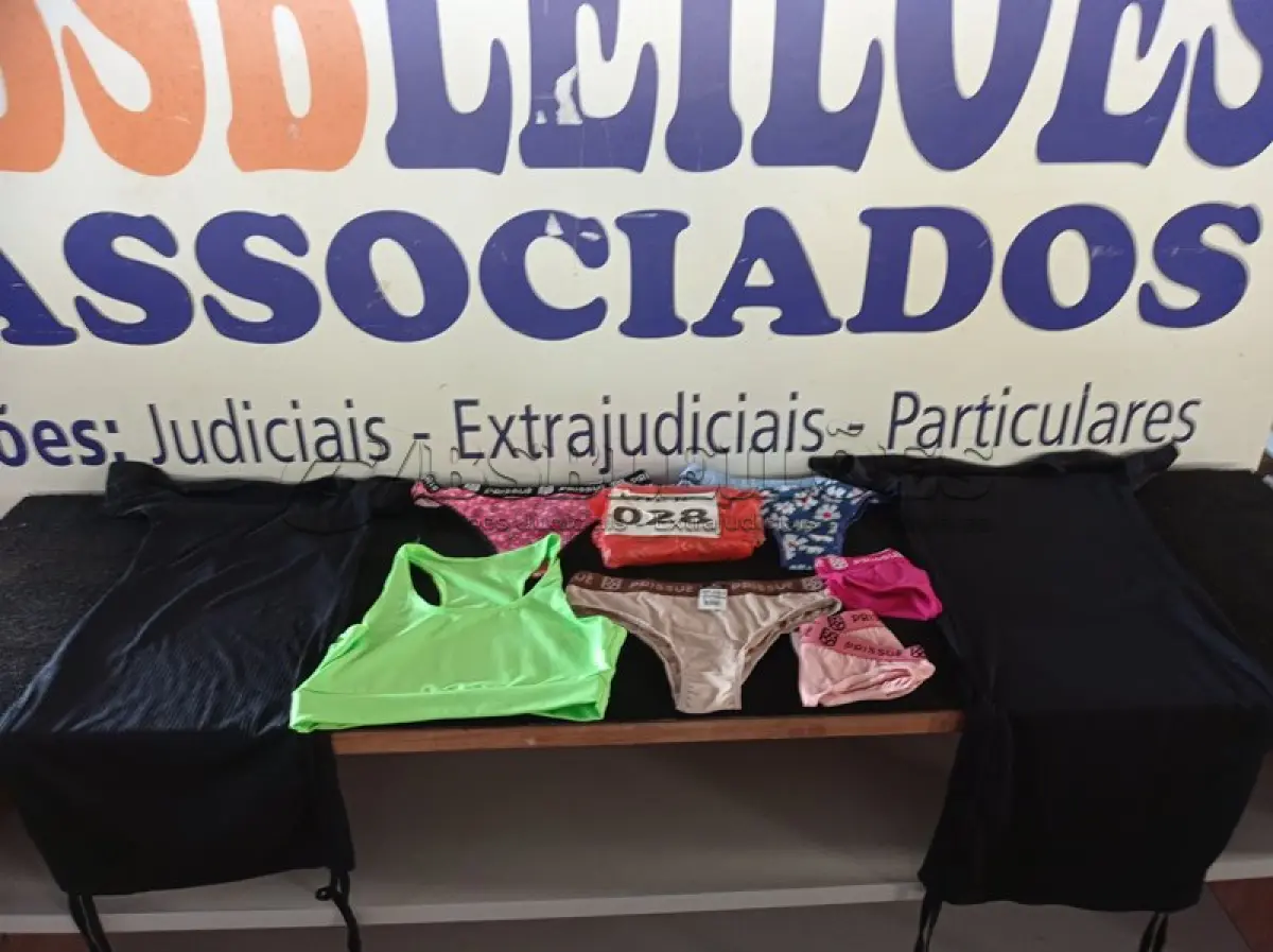 LOTE 028 - 01 LOTE C/ APROXIMADAMENTE 14 PEÇAS DE ROUPAS FEMININAS DIVERSAS (APROXIMADAMENTE) (NO ESTADO, NÃO SABEMOS SE FUNCIONA. LEILÃO NÃO TEM GARANTIA E NEM DEVOLUÇÃO, SUJEITO A POSSÍVEIS AVARIAS VISÍVEIS/OCULTAS E/OU AUSÊNCIA DE COMPONENTES)