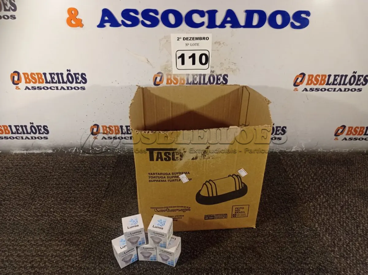 LOTE 110
