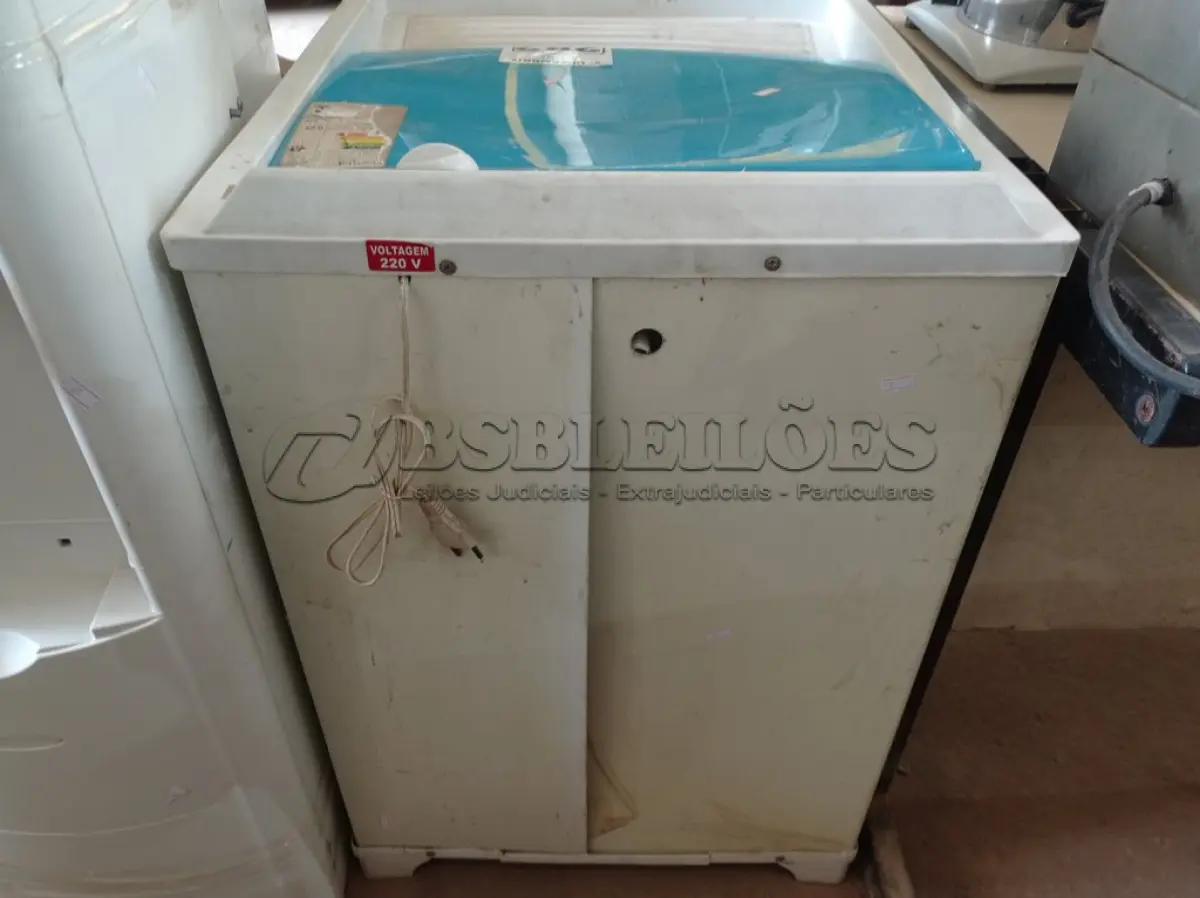 LOTE 282 - 01 TANQUINHO 220V. (NO ESTADO) ATENÇÃO! FAZER A VISITAÇÃO ANTES DE ARREMATAR, NÃO SABEMOS SE FUNCIONA. LEILÃO NÃO TEM GARANTIA E NEM DEVOLUÇÃO, SUJEITO A POSSÍVEIS AVARIAS VISÍVEIS/OCULTAS E/OU AUSÊNCIA DE COMPONENTES.