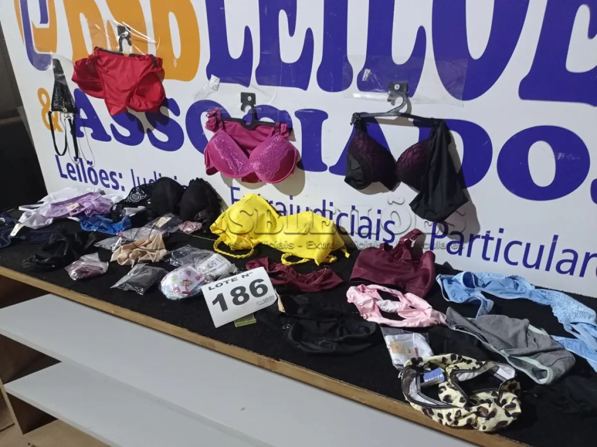 LOTE 186 - 80 – PEÇAS INTIMAS FEMININAS (APROXIMADAMENTE)(NO ESTADO, NÃO SABEMOS SE FUNCIONA. LEILÃO NÃO TEM GARANTIA E NEM DEVOLUÇÃO, SUJEITO A POSSÍVEIS AVARIAS VISÍVEIS/OCULTAS E/OU AUSÊNCIA DE COMPONENTES)