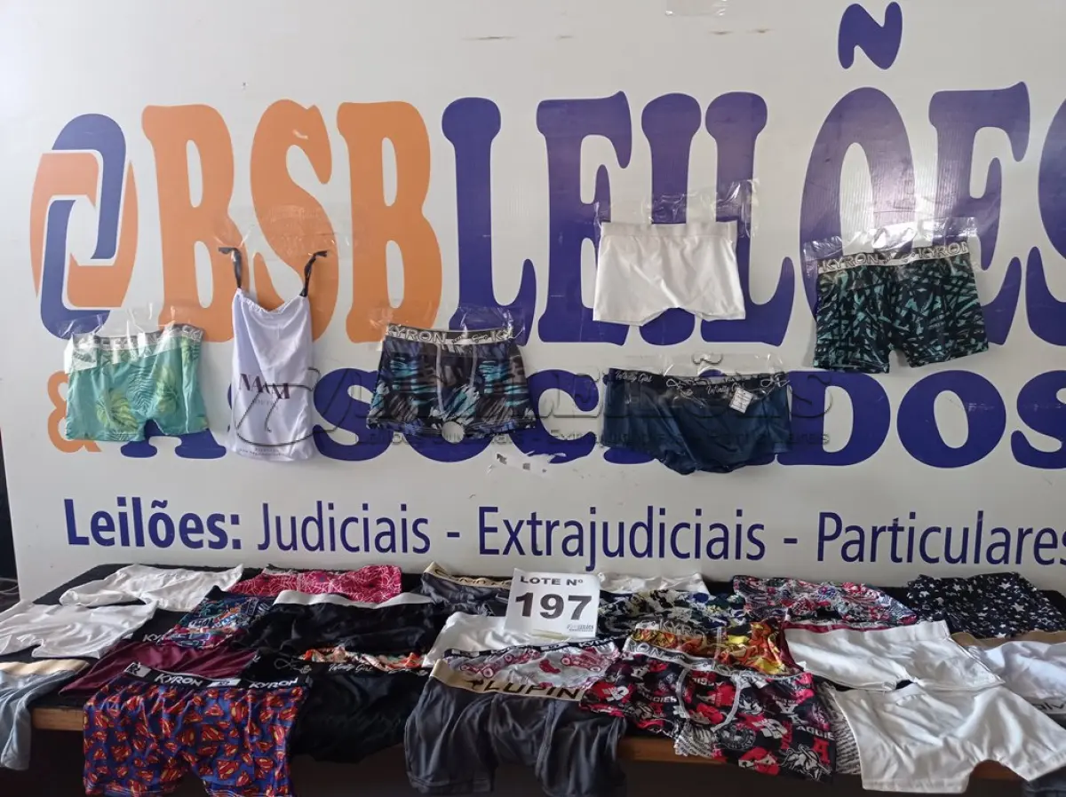 LOTE 197 - 60 – PEÇAS INTIMAS INFANTIS MASCULINAS (APROXIMADAMENTE) (NO ESTADO, NÃO SABEMOS SE FUNCIONA. LEILÃO NÃO TEM GARANTIA E NEM DEVOLUÇÃO, SUJEITO A POSSÍVEIS AVARIAS VISÍVEIS/OCULTAS E/OU AUSÊNCIA DE COMPONENTES)